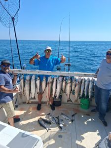 ChatGPT said:Limit-Filled Morning on Lake Michigan