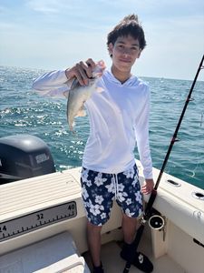 Haddock trip to Jeffrey’s Ledge 