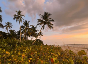 Get Your Valid Florida Fishing License 