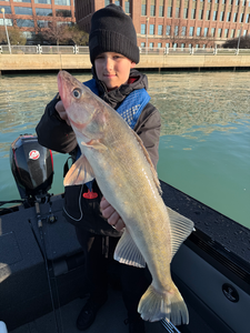 Detroit River Walleye Action with Get Hooked Charters - Spring Trip