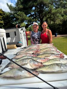 Hot Bite on Mississippi Crappie