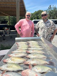 Quality Crappie Across the Lake