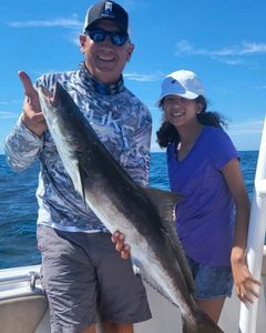 Cobia Fish from North Myrtle Beach