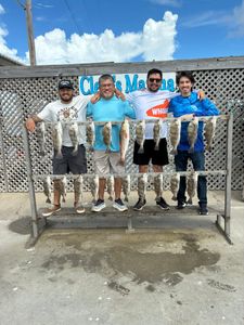 Busy Waters, Strong Black Drum and Redfish Action