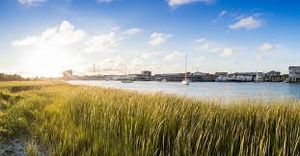 Top Things to Do in Morehead City