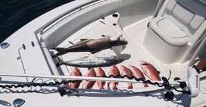 Panama City Beach Fishing