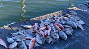 Perfect Weather Key West Flats Fishing with Miller Coastal