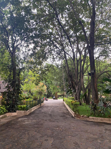 Key West Lake Fishing: Species Spotting & Non-Stop Action at Dusk