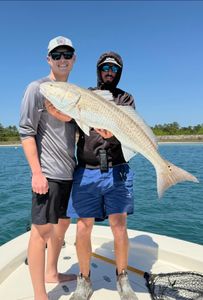 Redfish action continues with open dates over the next two weeks