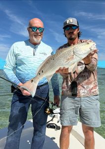 Sight fishing bull redfish with mackerel and drum for dinner