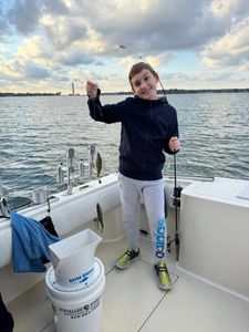 Fast perch action west of Middle Bass