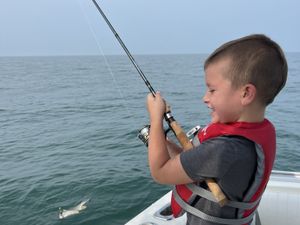 How to Obtain Your Ohio Fishing License