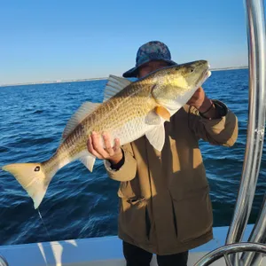 Pensacola's Top Redfish Fishing