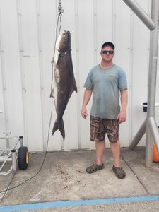 Shark Fishing FL