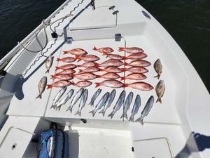 Snapper, Tuna, and Sunny Days Fishing FL