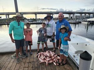 Lots of Snapper fish from Pensacola Bay