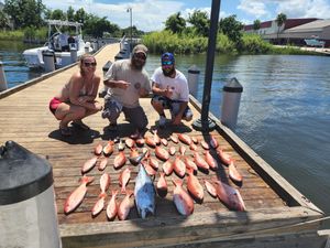 Lots of Snapper and a Crevalle Jack