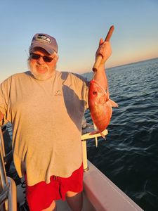 Red Snapper Fish From Florida