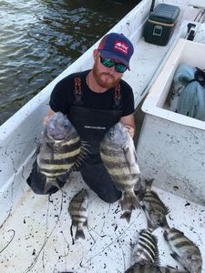 Florida's Top Sheepshead Fishing