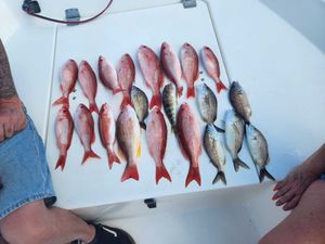 Snapper and Crappie Fishing