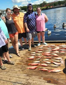 Family Fishing charter For Snappers, FL