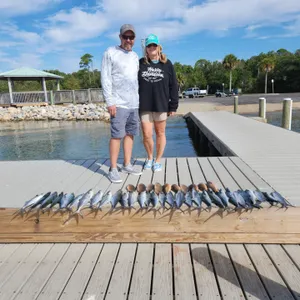Pensacola's Top Inshore Fishing