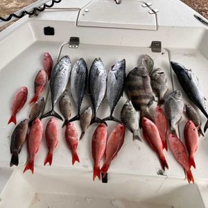 Pensacola fishing charter 2023