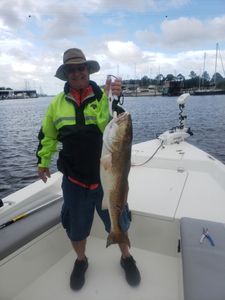 Redfish in Florida