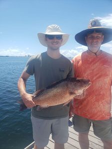 Best Red Snapper Fishing in Florida