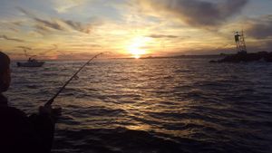 Sunrise to Sunset: Florida Fishing in Englewood!