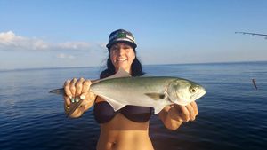 Fishing in Englewood FL: A True Waterfront Delight