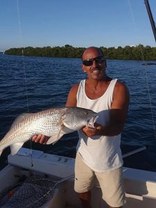 Embrace the Beauty of Fishing in Englewood FL