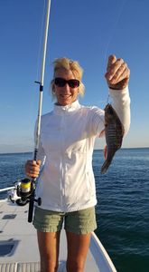 Englewood Fishing Charters: Your Gateway to Fun