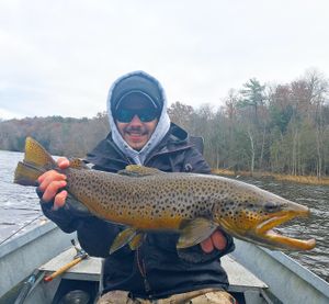 Fly Fishing Guide For Trout, Michigan