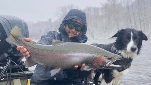 Michigan Fly Fishing For Rainbow Trout 