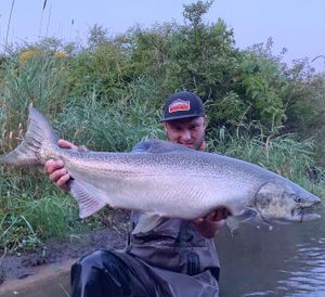 Muskegon River Salmon Fishing, MI