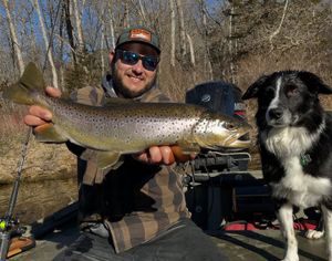 Big Browns, Co-Pilot Included