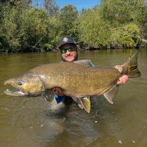 Michigan Fall Run Bookings Open