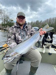 Fly Fishing Guide For Salmon, Michigan