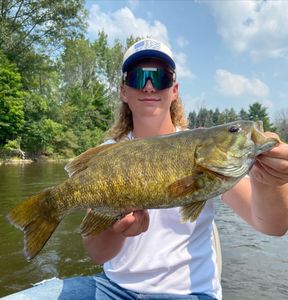 Smallmouth Bass in Michigan