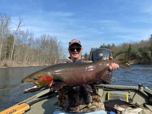Pere Marquette River Trout Fishing, MI