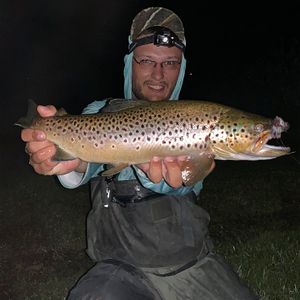 Mousing big brown trout at night.