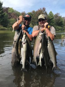 Michigan Fly Fishing For Salmon