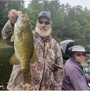 Smallmouth Bass in Michigan 