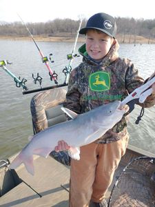 Truman Lake Catfish Fishing, MO
