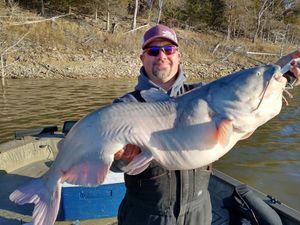 Truman Lake Catfish Fishing, MO