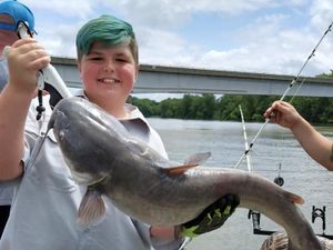 Catfish Fishing In Missouri