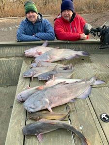 Catfish Fishing In Missouri