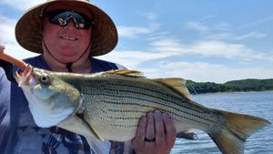 Truman Lake Fishing Report