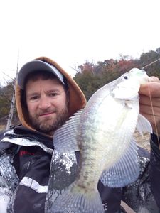 Truman Lake Crappie Fishing, MO